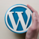 WordPress error establishing a database connection